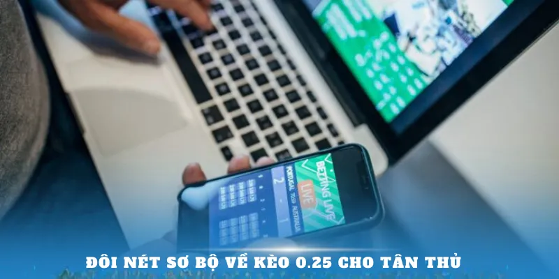 Đôi nét sơ bộ về Kèo 0.25 cho tân thủ